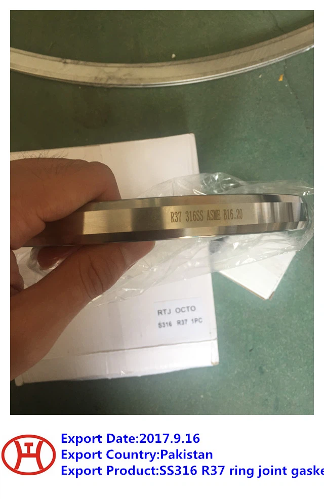 SS 316  R 37  Sameiginleg gasket hringinn